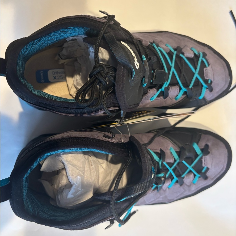 Rock DFS Mid GTX Shoe